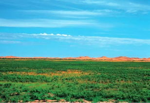 美麗中國(guó)先鋒榜 18 內(nèi)蒙古杭錦旗庫(kù)布其沙漠治理創(chuàng)新實(shí)踐