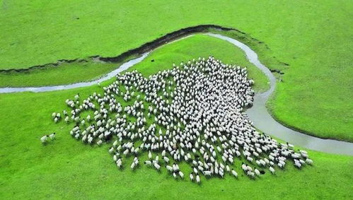 新疆 以環保為基，升級設施與服務，打造高品質旅游新名片