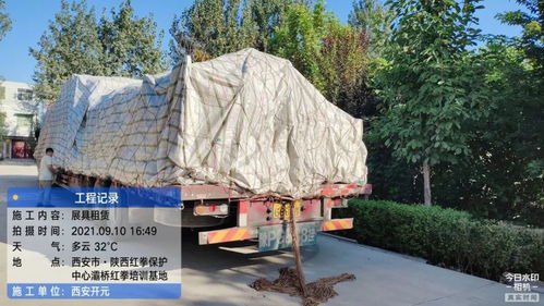 開元展覽 環保展具跨越山海，綠色理念扎根新疆